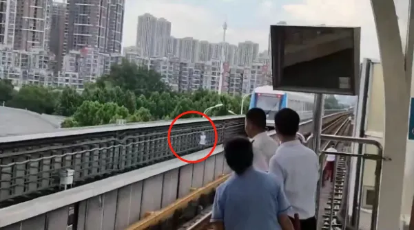 武汉一小孩跑进地铁轨道导致列车停运?官方回应(图1) 3-2406251I955248.png