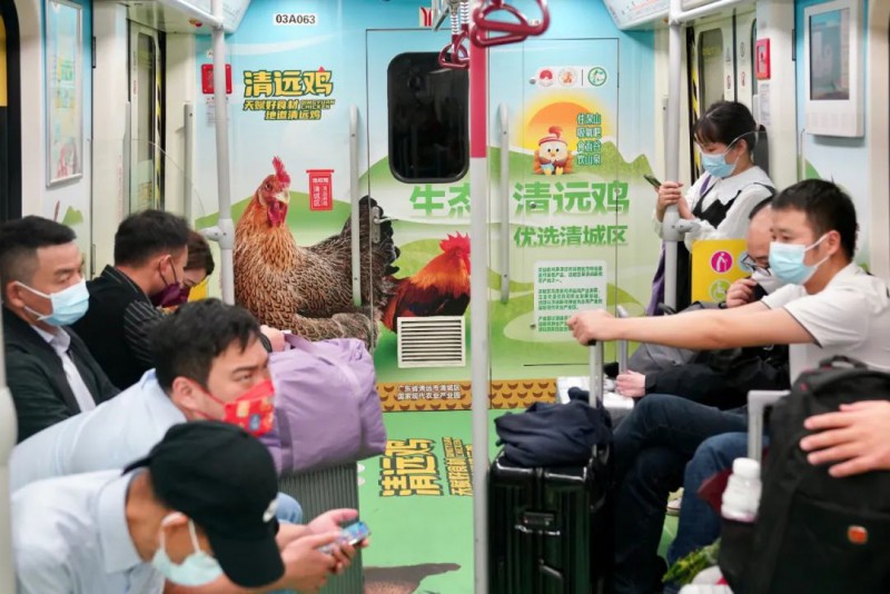 地铁3号线“清远鸡”专列发车!(图1) 地铁3号线“清远鸡”专列发车!(图1)