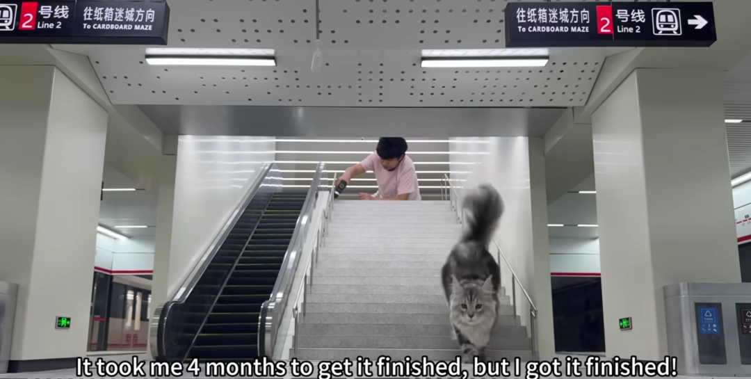 猫3.png 猫3.png