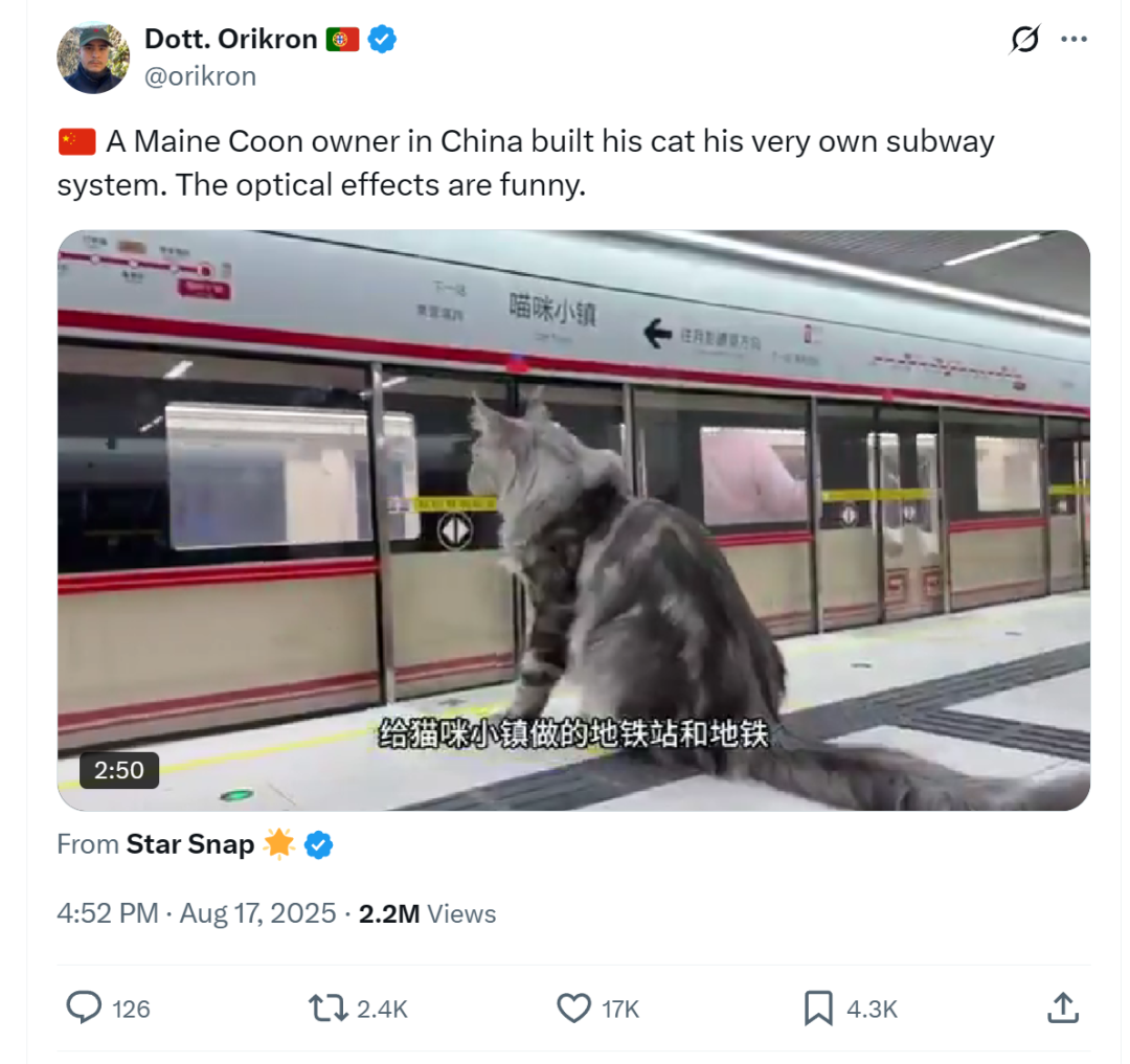 猫6.png 猫6.png